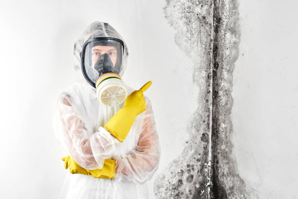 Best Forensic Mold Investigation  in Robbins, NC